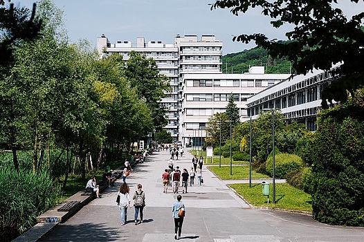 © Johannes Kepler Universität Linz